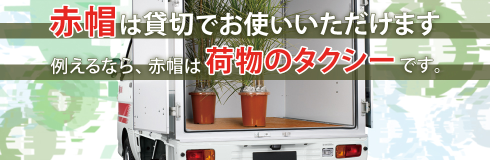 スポット便
